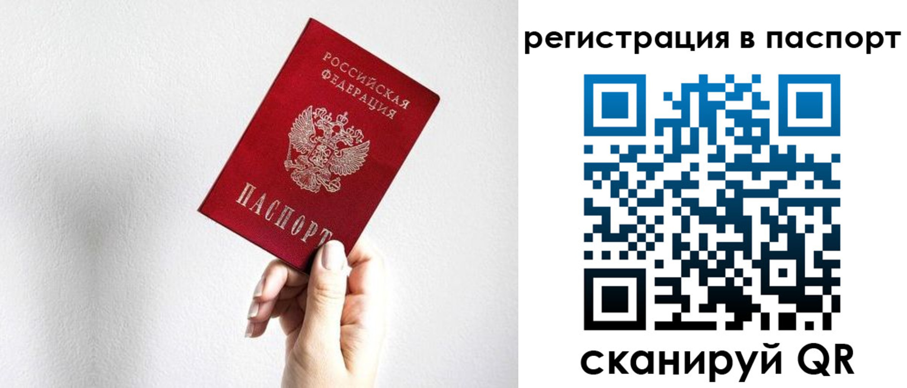 прописка законно в Московской области